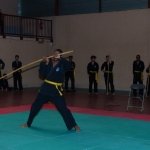 defi-tayson-2015-387