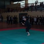 defi-tayson-2015-391