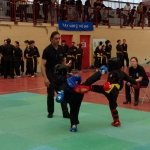 defi-tayson-2015-491