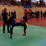 defi-tayson-2015-498
