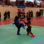 defi-tayson-2015-499