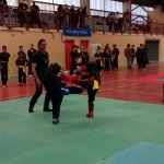 defi-tayson-2015-500