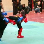 defi-tayson-2015-501