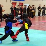 defi-tayson-2015-502