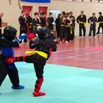 defi-tayson-2015-503