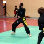 defi-tayson-2015-520