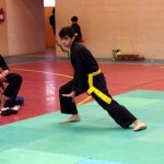 defi-tayson-2015-521