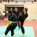 defi-tayson-2015-528