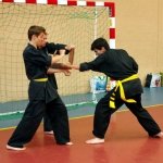 defi-tayson-2015-542