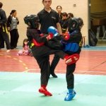 defi-tayson-2015-556
