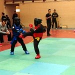 defi-tayson-2015-563