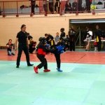 defi-tayson-2015-570