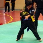 defi-tayson-2015-571