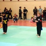 defi-tayson-2015-579
