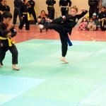 defi-tayson-2015-582