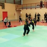 defi-tayson-2015-585