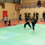 defi-tayson-2015-586