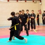 defi-tayson-2015-594