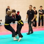 defi-tayson-2015-595