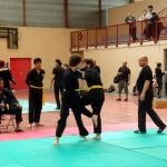 defi-tayson-2015-601