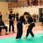 defi-tayson-2015-603