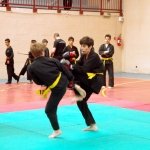defi-tayson-2015-606