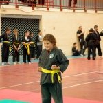 defi-tayson-2015-617