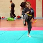 defi-tayson-2015-620
