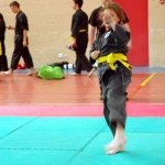defi-tayson-2015-621