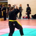 defi-tayson-2015-622