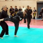 defi-tayson-2015-628