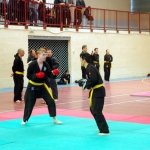 defi-tayson-2015-672