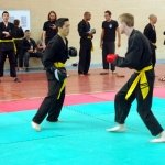 defi-tayson-2015-673