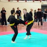 defi-tayson-2015-674