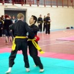 defi-tayson-2015-675