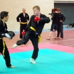 defi-tayson-2015-676