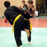 defi-tayson-2015-679