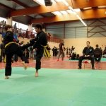 defi-tayson-2015-682