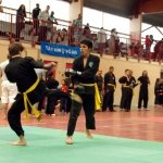defi-tayson-2015-684