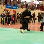 defi-tayson-2015-686