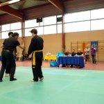 defi-tayson-2015-688
