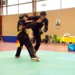 defi-tayson-2015-690