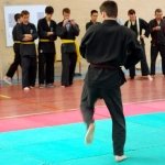defi-tayson-2015-703