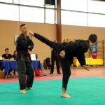 defi-tayson-2015-705