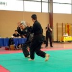 defi-tayson-2015-706