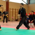 defi-tayson-2015-714