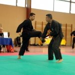 defi-tayson-2015-716
