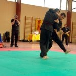 defi-tayson-2015-717
