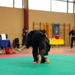 defi-tayson-2015-718
