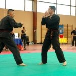 defi-tayson-2015-722
